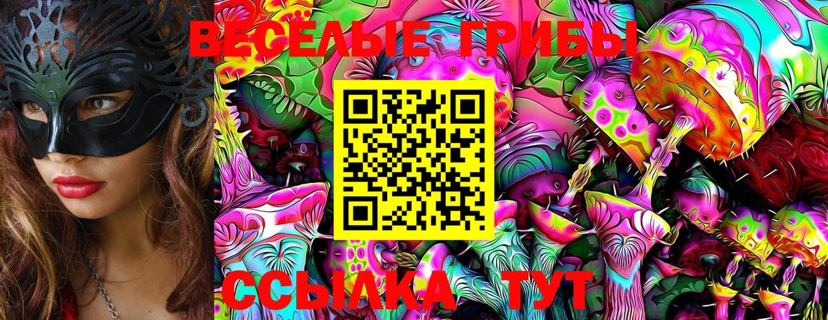 Галлюциногенные грибы Magic Shrooms  Галлюциногенные грибы ЛСД  Ртищево  Вход с VPN 